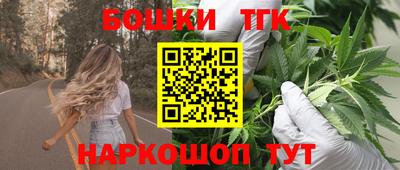 соль ск Можга