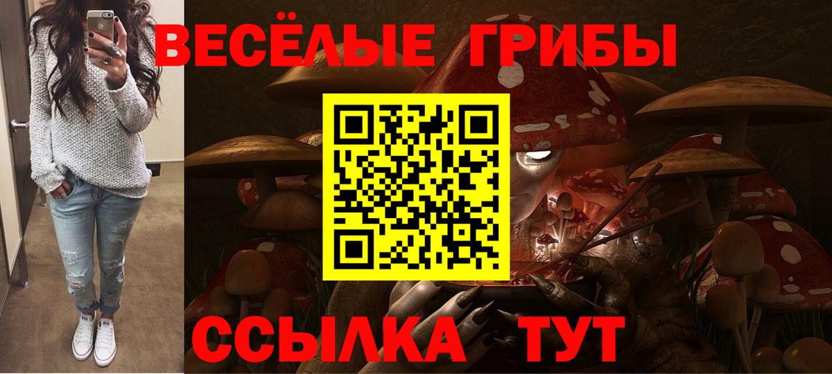 Тольятти  где продают   Вход с VPN  Псилоцибиновые грибы мицелий  Псилоцибиновые грибы прущие грибы 